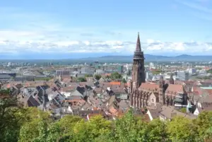 immobilienmakler-freiburg-muenster-skyline Blick über die Dreisam auf das Freiburger Münster