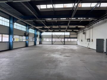 Attraktive Lagerhalle mit Büro- und Sozialräumen – Gewerbegebiet Über der Elz, 79312 Emmendingen, Industriehalle