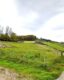 Baugrundstück – idyllische Lage mit vielseitigem Potenzial für Familien und Investoren - Sommerwiese