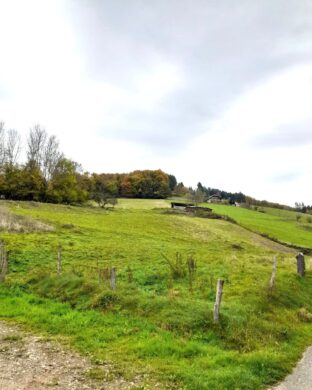 Baugrundstück – idyllische Lage mit vielseitigem Potenzial für Familien und Investoren, 79215 Elzach / Katzenmoos, Wohngrundstück