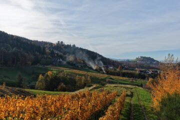Reben mit Burgblick – Bühl, 77815 Bühl, Land-/Forstwirtschaft