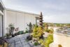 Exklusives Penthouse mit großzügigen Dachterrassen, Sauna und Panoramablick über den Kaiserstuhl - Terrasse