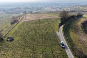 Weinberg in sonniger Lage in Köndringen / Malterdingen, 79331 Teningen / Köndringen, Land-/Forstwirtschaft