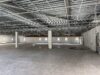 Flexible Halle mit vielseitigen Nutzungsmöglichkeiten - Hallenfläche