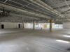 Flexible Halle mit vielseitigen Nutzungsmöglichkeiten - Hallenfläche