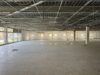 Flexible Halle mit vielseitigen Nutzungsmöglichkeiten - Hallenfläche
